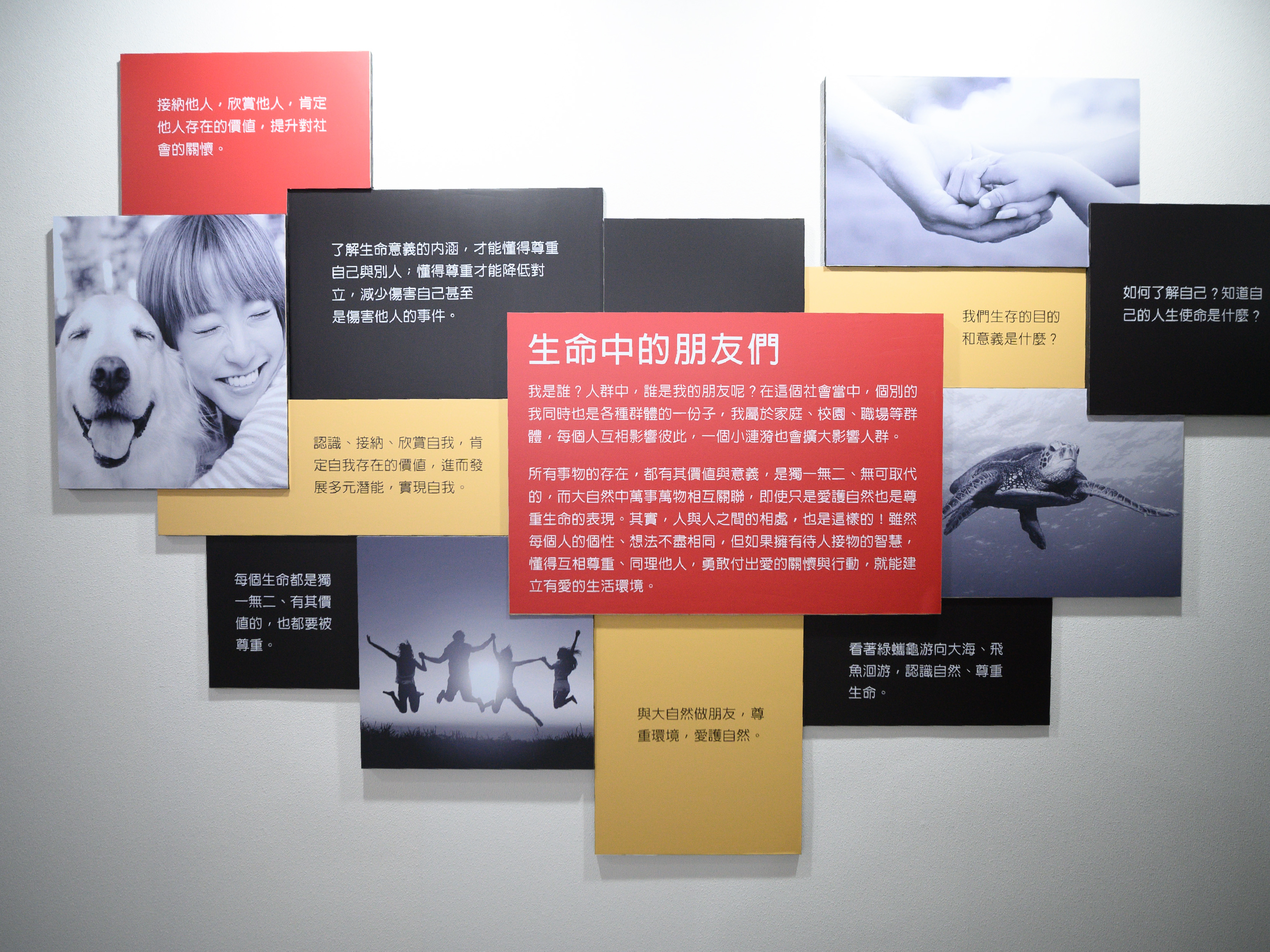 生命中的朋友們